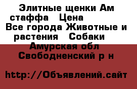 Элитные щенки Ам.стаффа › Цена ­ 25 000 - Все города Животные и растения » Собаки   . Амурская обл.,Свободненский р-н